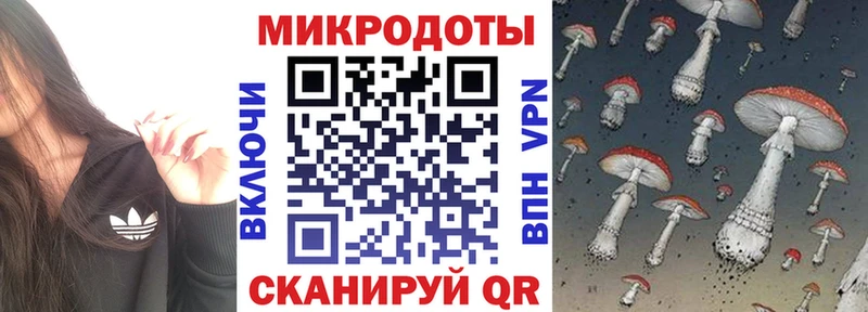 Псилоцибиновые грибы прущие грибы  где можно купить наркотик  Михайловка 