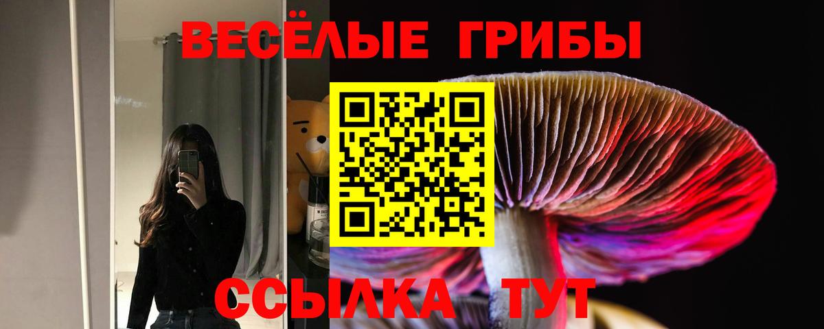 Галлюциногенные грибы MAGIC MUSHROOMS  Вход с VPN  Михайловка 